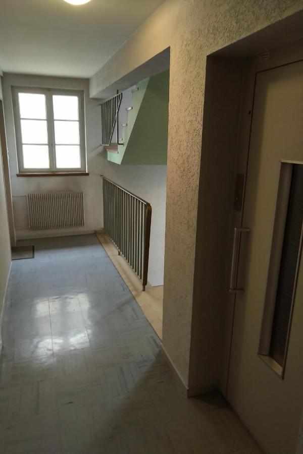 Appartement Spacieux Et Cosy - Strasbourg Centre Eksteriør billede